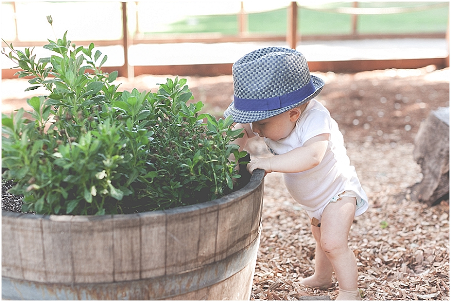 Cotati portrait session