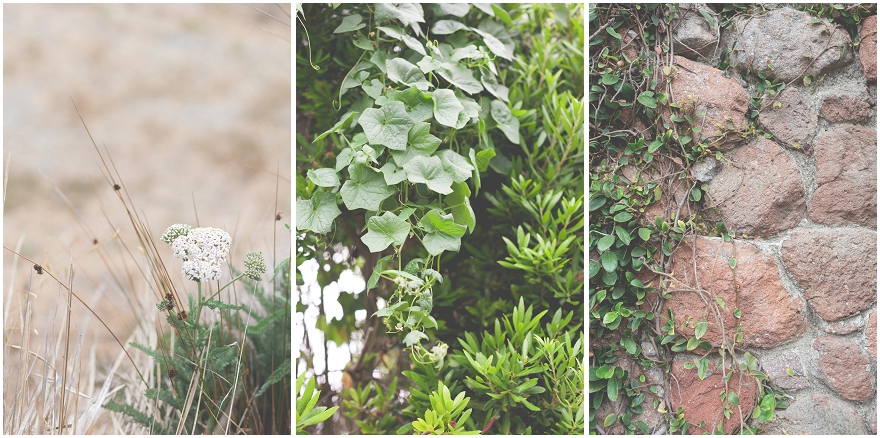 Bodega-Bay-Wedding-Photographer_0003