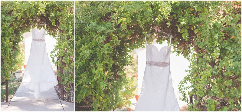 Ione Wedding