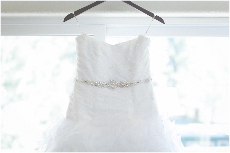 Tahoe Wedding