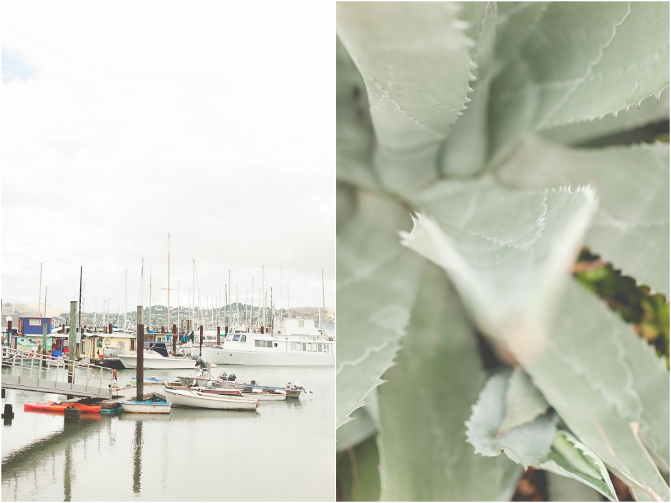 Sausalito-Engagement-Photographer_0001