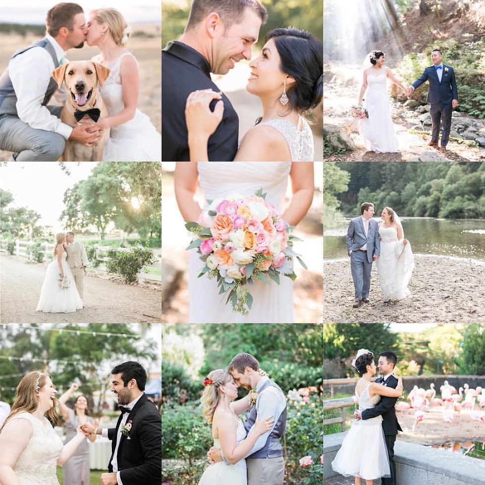 2015 Wedding Favorites