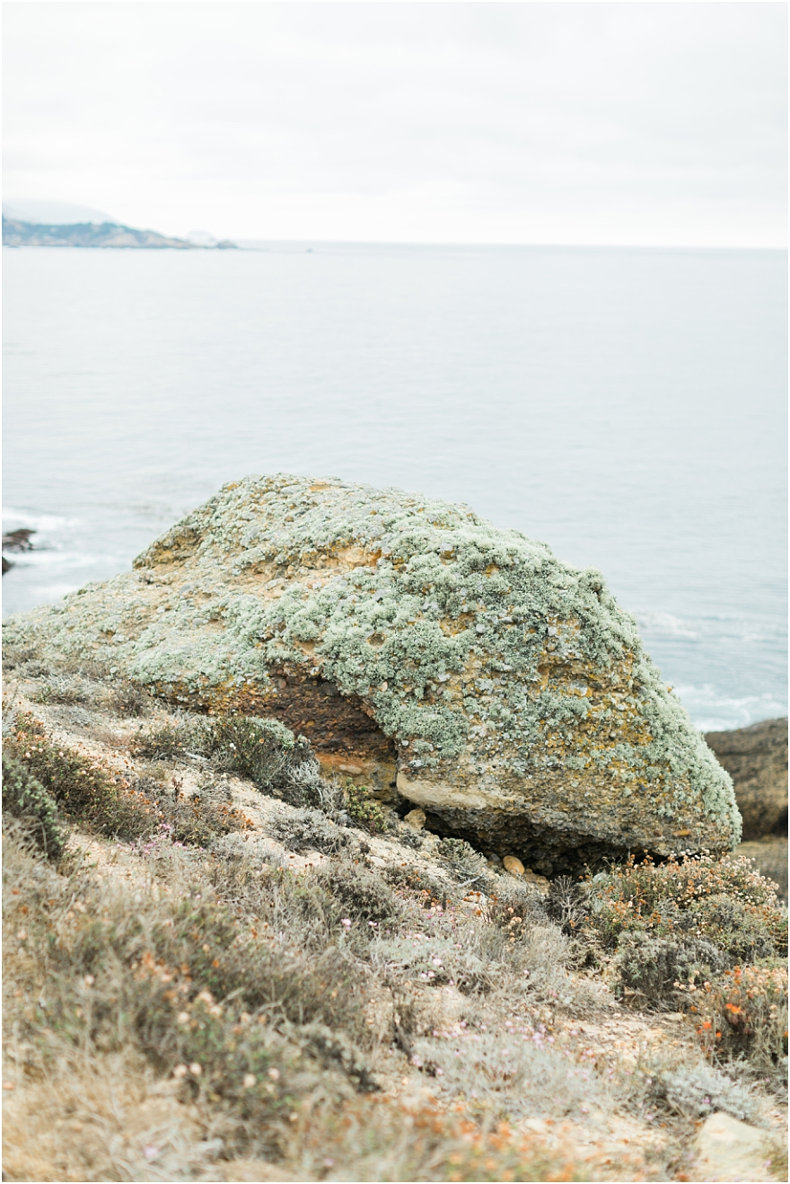 Carmel Engagement Session